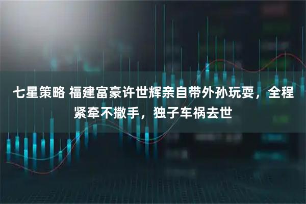 七星策略 福建富豪许世辉亲自带外孙玩耍，全程紧牵不撒手，独子车祸去世