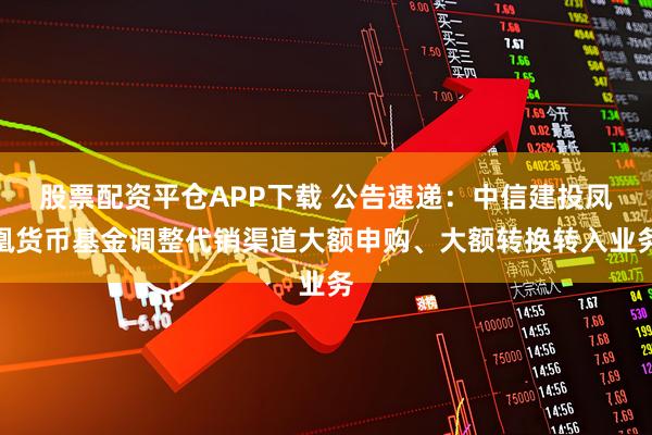 股票配资平仓APP下载 公告速递:中信建投凤凰货币基金调整代销渠道大额申购、大额转换转入业务