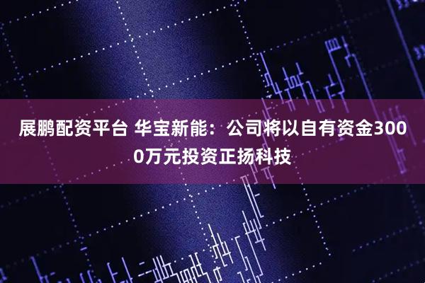 展鹏配资平台 华宝新能：公司将以自有资金3000万元投资正扬科技