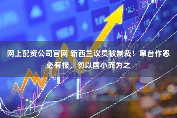 网上配资公司官网 新西兰议员被制裁!窜台作恶必有报,勿以国小而为之